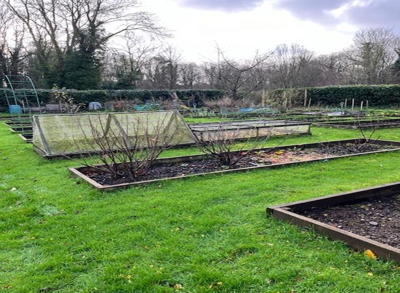 Forge Green, Dalston