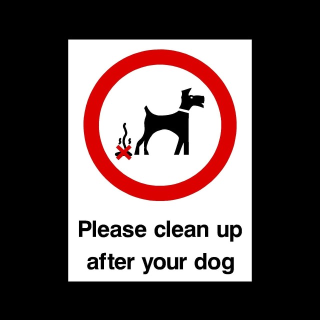 dog-fouling